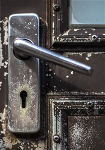 Botanic Handle