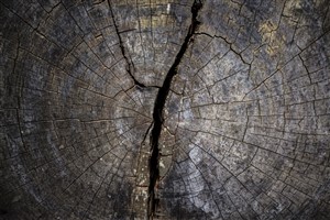 Cracked