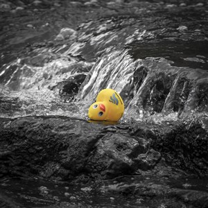Stranded