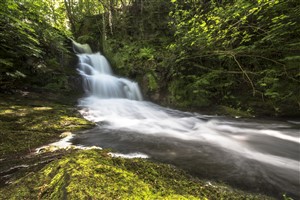Waterfall